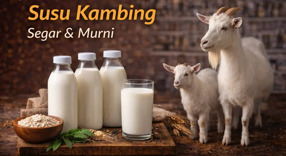 Jual susu kambing
