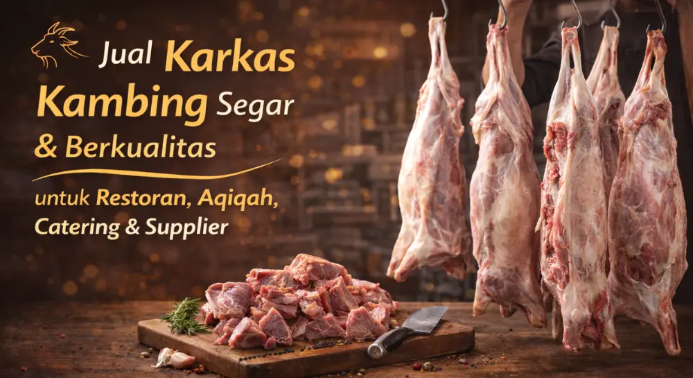 Jual karkas kambing segar